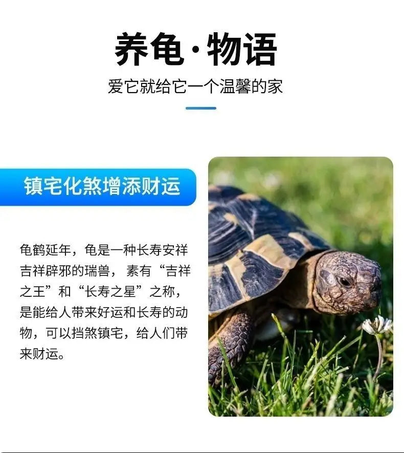 Tank-free fish tank swamp turtle tank raising turnover box filter mixed ecological tank changing water raising turtle box large