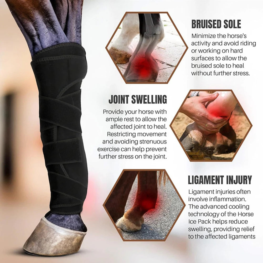 2x Horse Boots Shock Absorbing Horse Leg Wraps Tendon Protection Front Hind Legs Guard for Jumping Training Equestrian Equipment