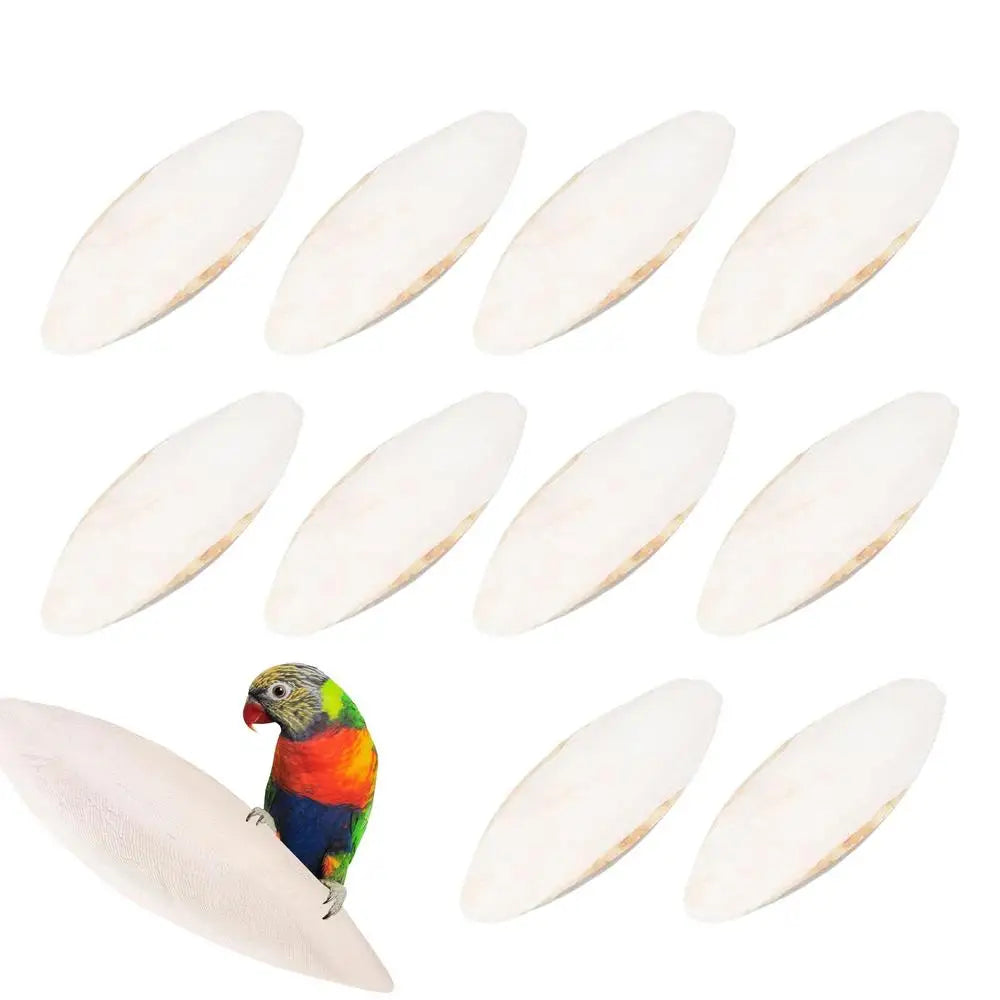 10pcs Cuttlefish Sepia Bone Parrot Chewing Cuttle Bone Bird Food Calcium Pickstone Parakeets Budgies Cockatiels Cuttlebone Toy