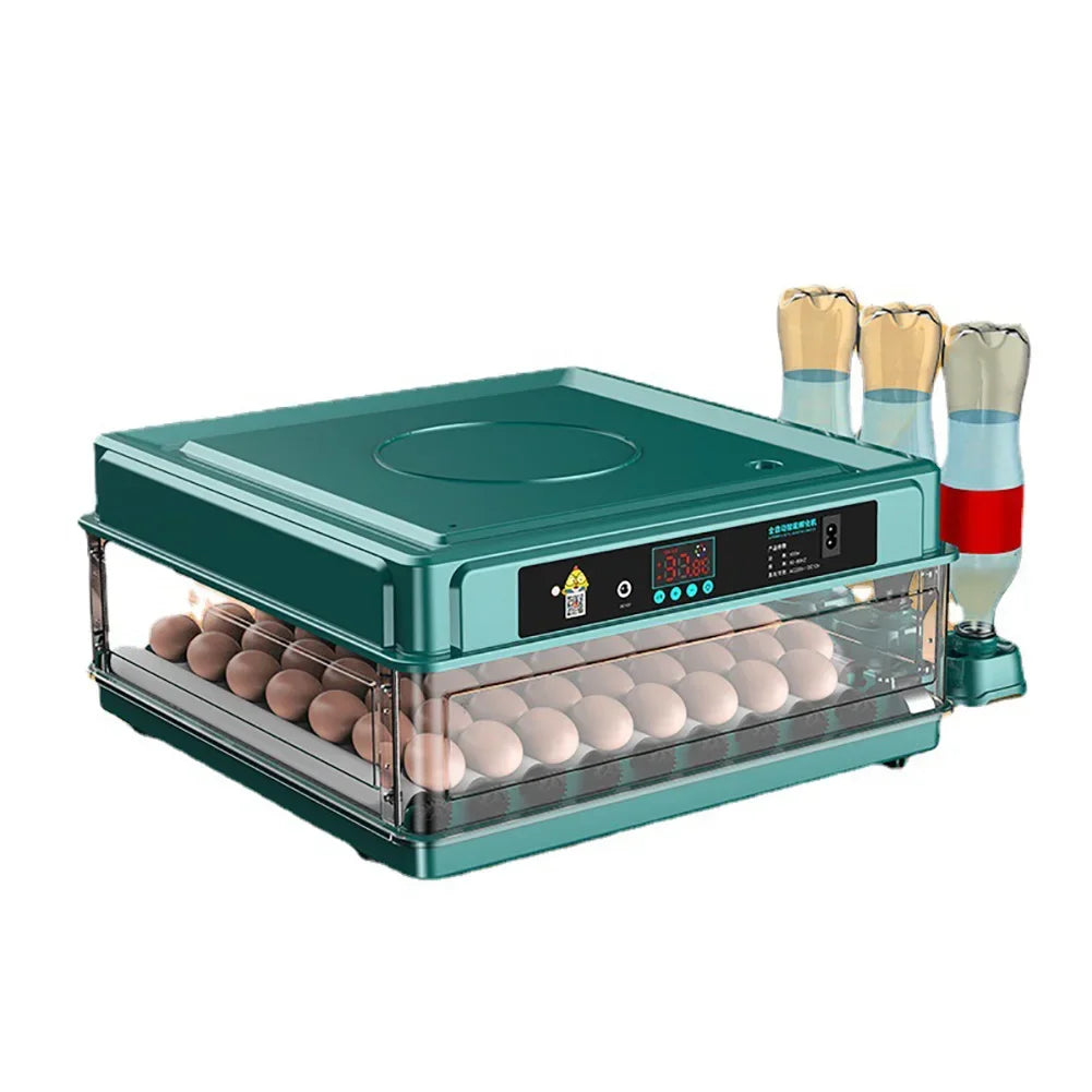 6-12 Eggs Incubator for Chicken Goose Bird Quail Automatic Incubation Equipment Hatchery Incubation Tool US Plug Dual Electric design