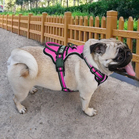 Nylon Dog Harness Vest Reflective Dog Harness Personalized Breathable Adjustable Pet Harness Leash For Small Medium Large sizes