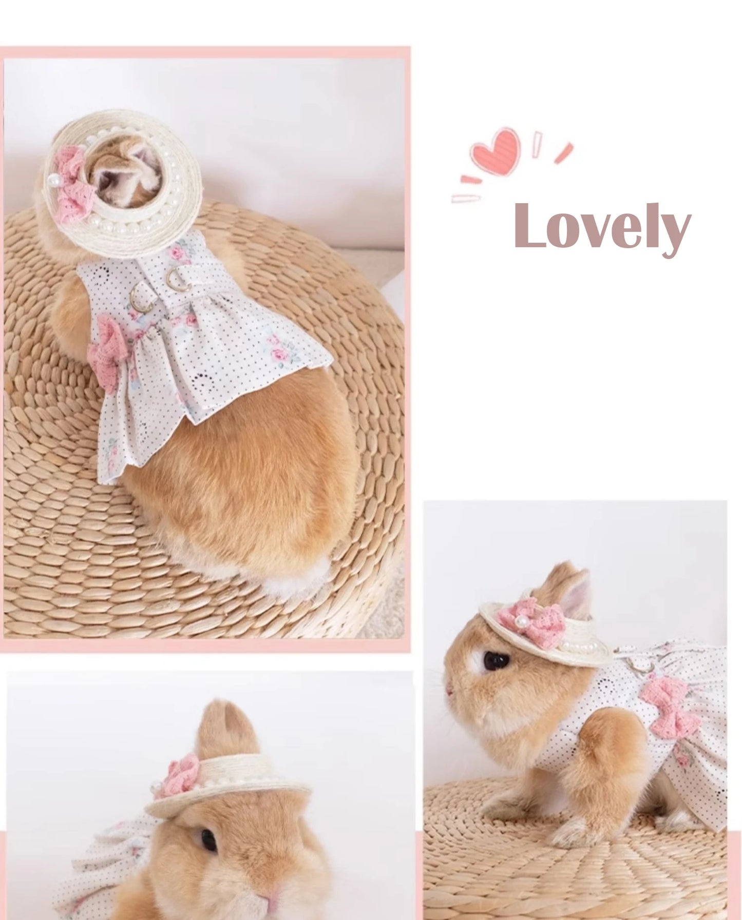 Fashion Rabbit Guinea Pigs Clothes Romantic Rose Princess Dress Set for Little Animals Bunny Chinchillas Suit Rabbit Supplies