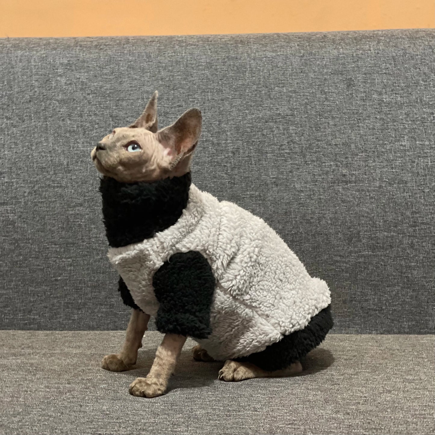 Lamb Wool Coat for Cats Sphynx Cat Clothing Winter Soft Grey T-Shirt for female Kittens Devon Rex Short or Long Sleeves Loungewear