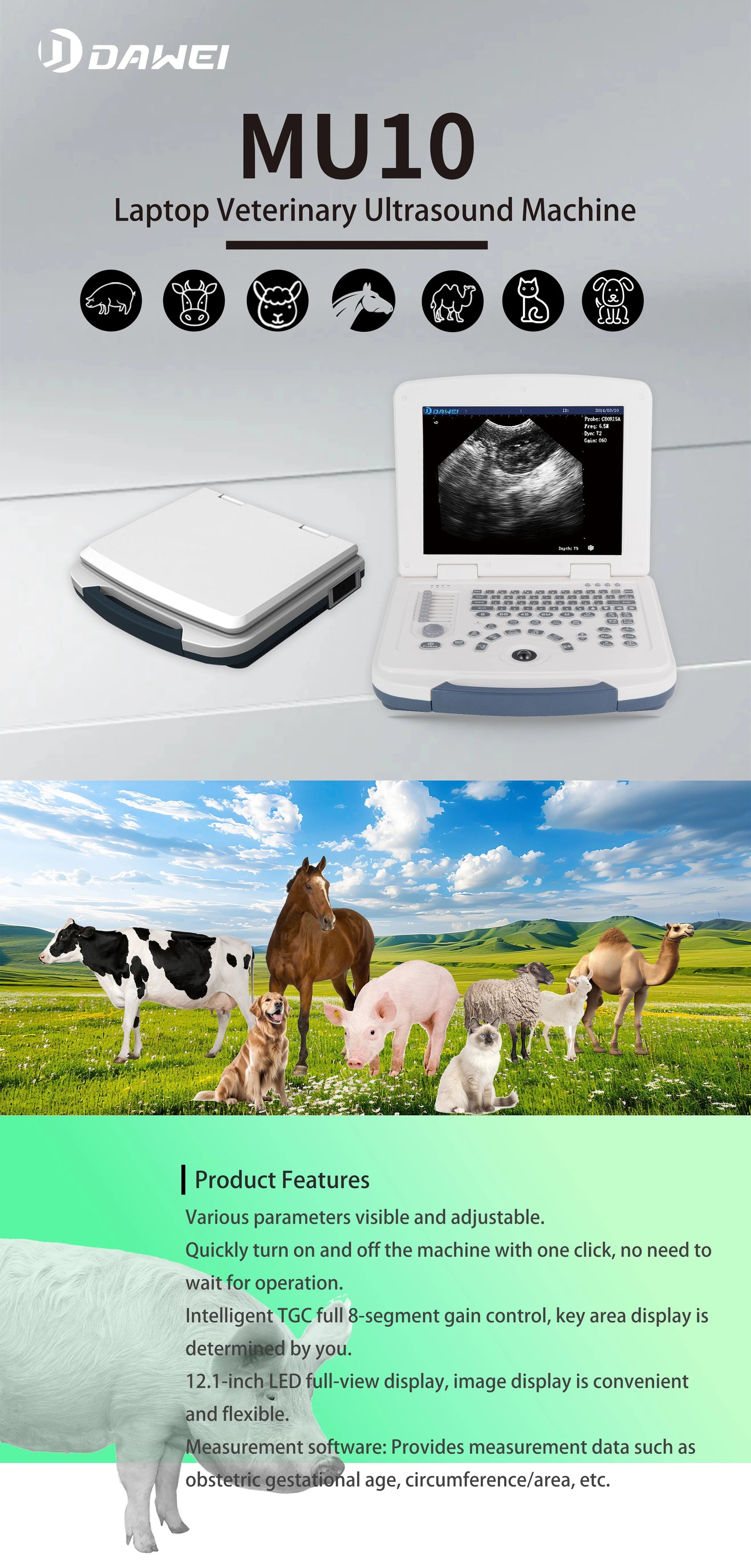 Portable Veterinary Ultrasound Scanner, Laptop Vet Pregnancy B-Ultra Machine, for Animal Farm Home Pet (B,B+B,4B,B+M,M)