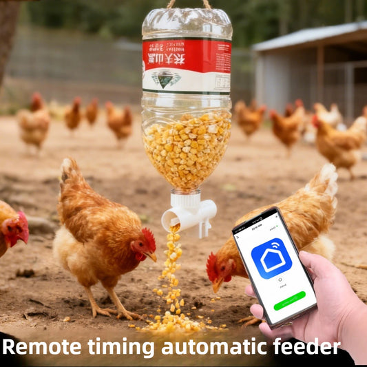 WIFI Poultry automatic timing feeder Chicken, Duck, Goose, Pigeon trough fish pond feeder