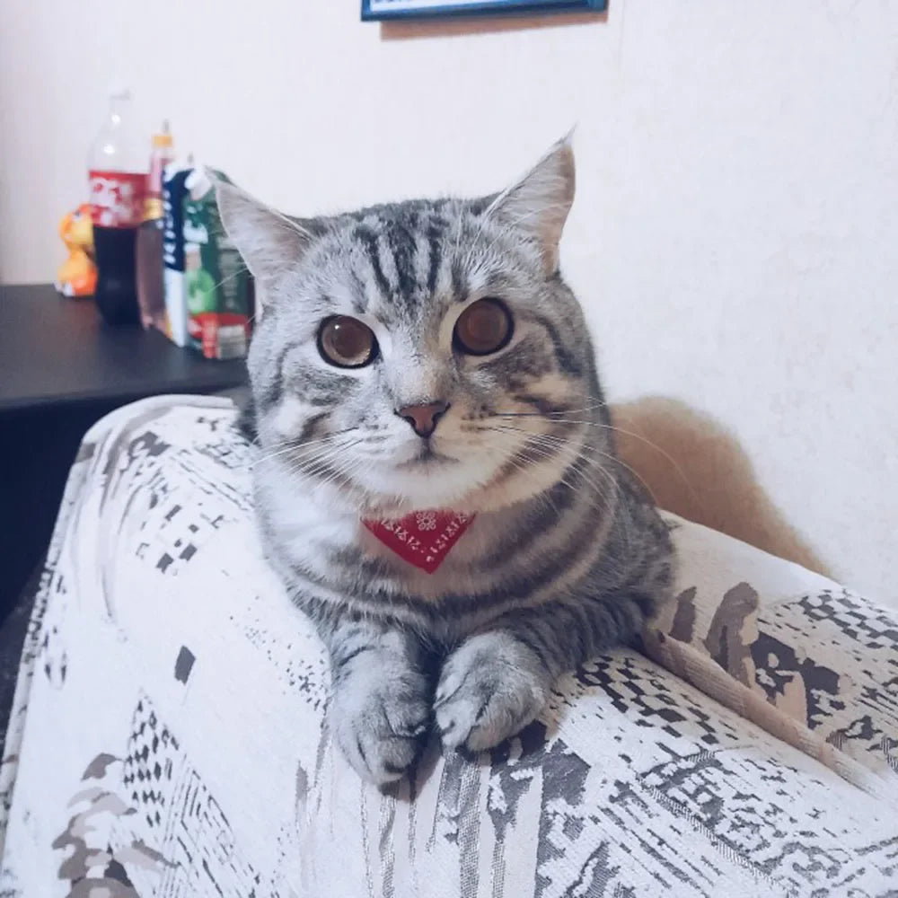 Cute Printed Bandana Cat Collar Puppy Dog Cat Scarf Collar Adjustable Triangular Pet Bandana Collar for Kittens Small Animals