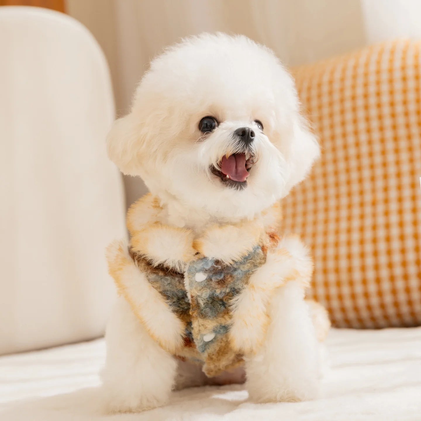 Winter Autumn Warm Clothes Dog Velvet Vest For Small Medium Puppy Bichon Teddy Thicken Pet Warm Clothes New Year Dog Clothing and Cat Clothing