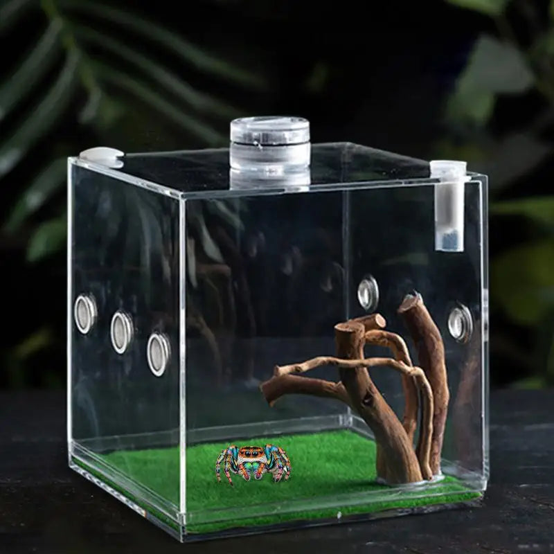 Spider Reptile Insect Feeding Box Reptile Breeding Box Terrarium Accessories Insect Box For Spider Cricket Snail Tarantula