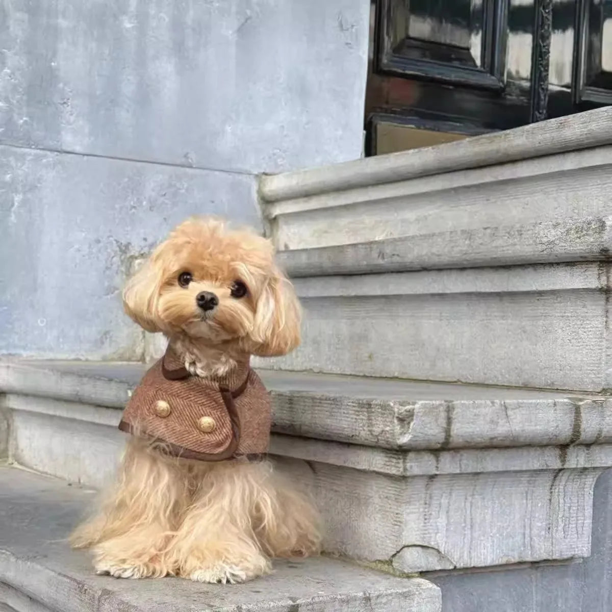 Fashionable British-Style Brown Pet Coat With Woolen Fabric - Dog Clothing