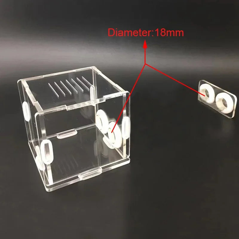 DIY Various Size Ant Farm Bamboo Tube Nest with Feeding Area Pet Anthill Workshop Queen Ant Breeding Nest Ant House Nest Bracket