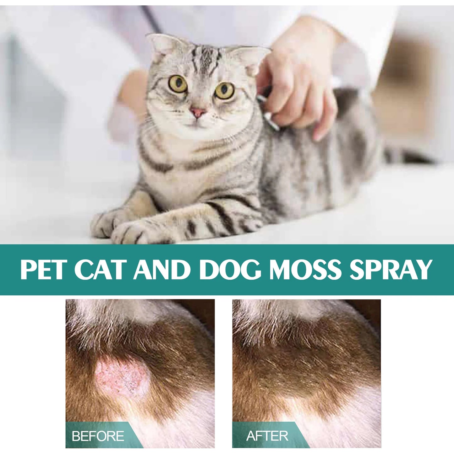 30ml  skin medicine spray for cats and dogs to remove mites