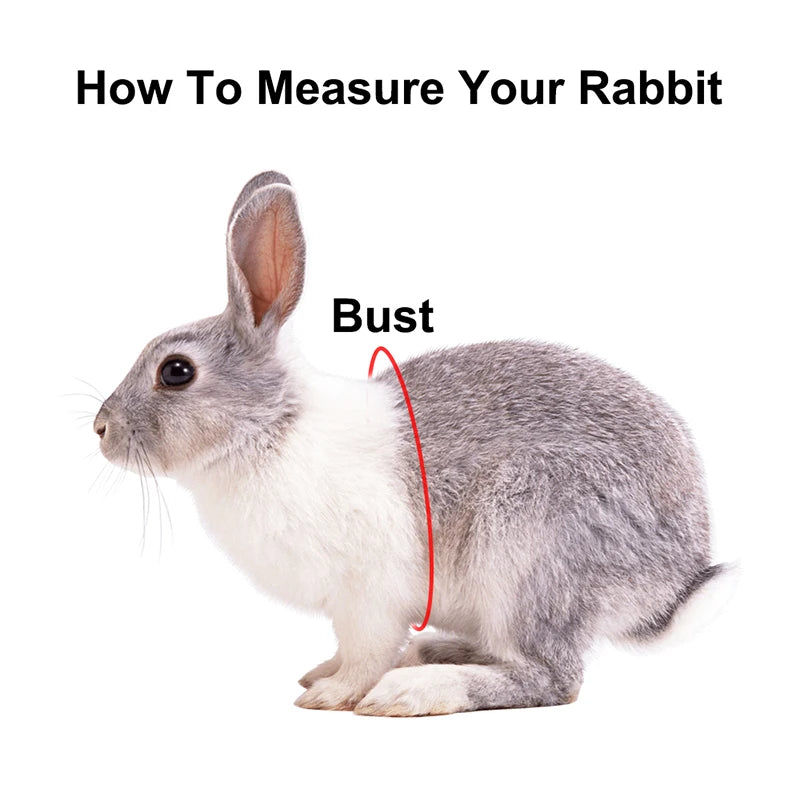 Rabbit Clothes Thickened Style Lop-eared Bunny Autumn/Winter Clothing Pet Dressing Supplies Rabbit Outing Accessories