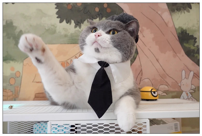 Funny Pet Cat Hat and tie Gentleman's Hat Beret Tie Bathing Blood Gangster Handsome Cosplay Photo Prop Pet Halloween Costume
