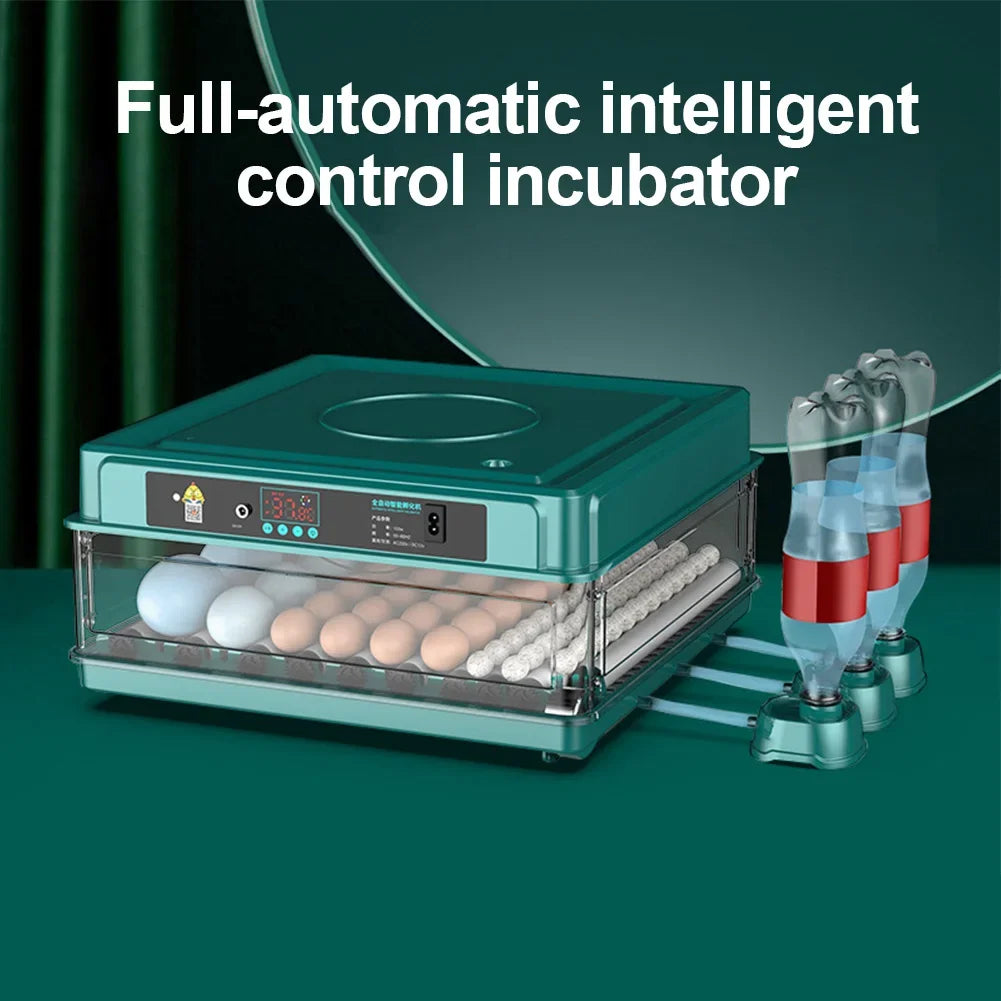 6-12 Eggs Incubator for Chicken Goose Bird Quail Automatic Incubation Equipment Hatchery Incubation Tool US Plug Dual Electric design