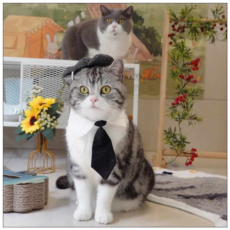 Funny Pet Cat Hat and tie Gentleman's Hat Beret Tie Bathing Blood Gangster Handsome Cosplay Photo Prop Pet Halloween Costume