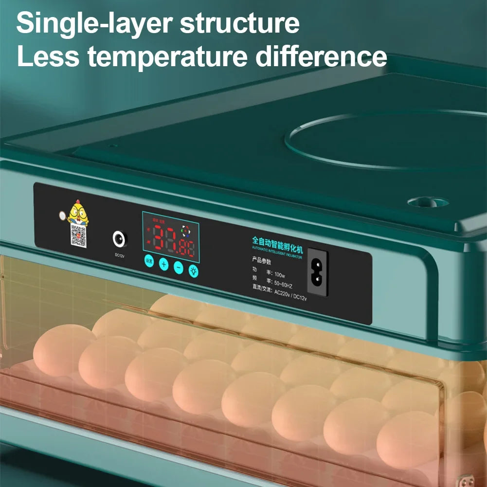 6-12 Eggs Incubator for Chicken Goose Bird Quail Automatic Incubation Equipment Hatchery Incubation Tool US Plug Dual Electric design