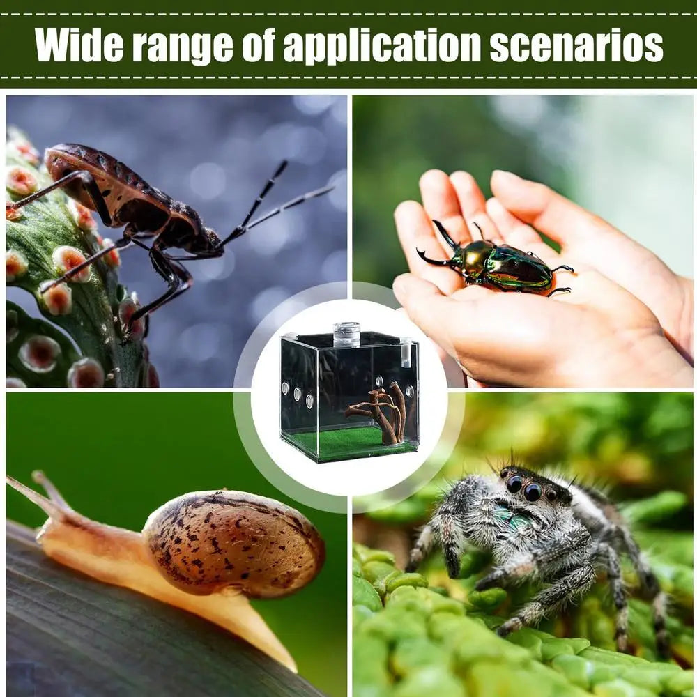 Spider Reptile Insect Feeding Box Reptile Breeding Box Terrarium Accessories Insect Box For Spider Cricket Snail Tarantula