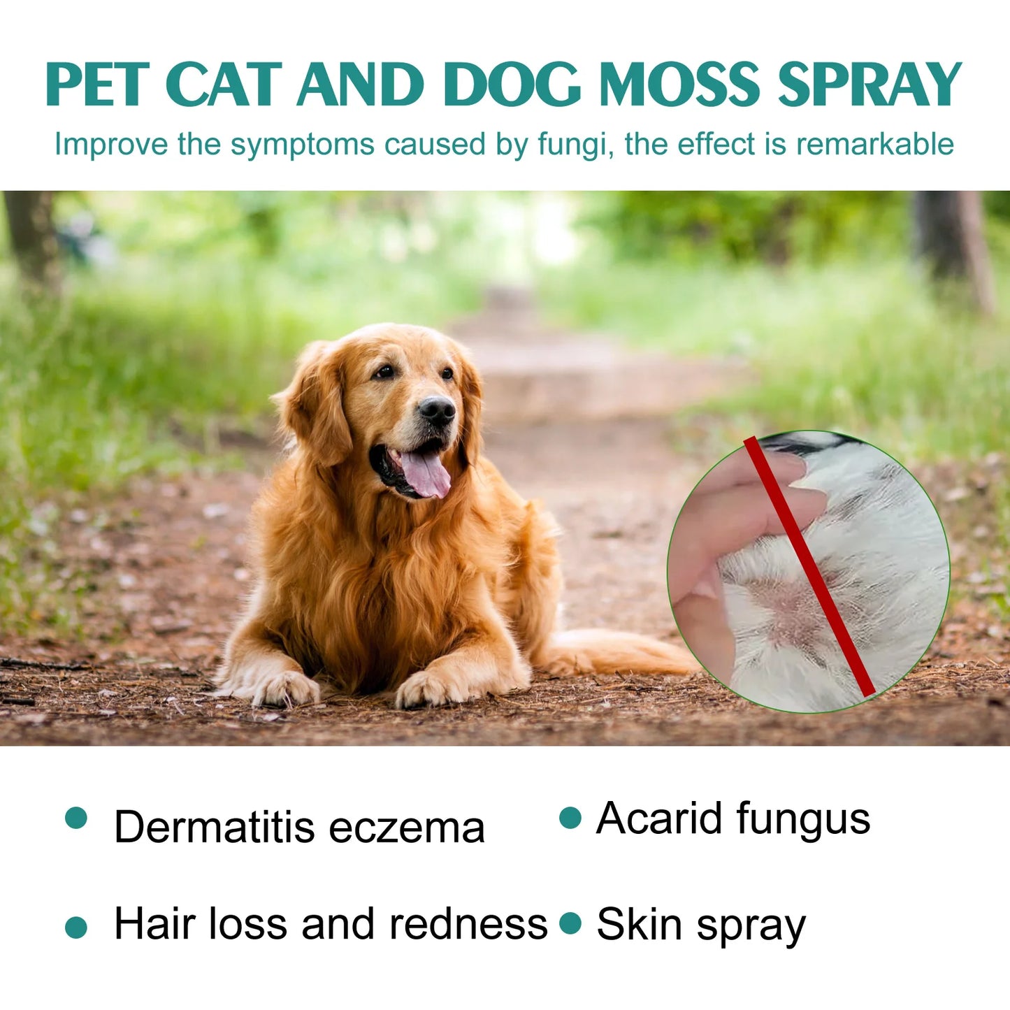 30ml  skin medicine spray for cats and dogs to remove mites