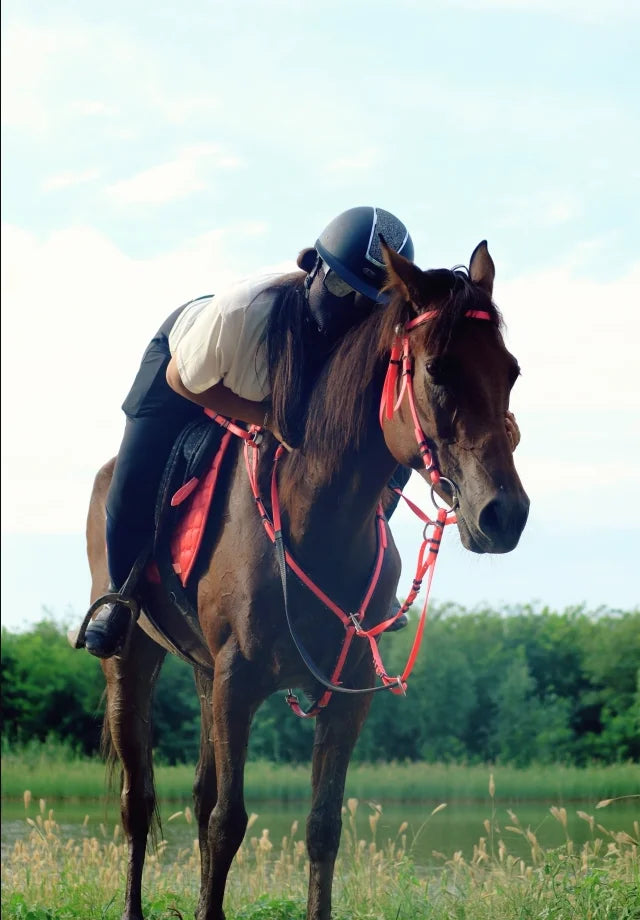 Horses absorb sweat, sweat pad, shock absorber, sweat drawer with pocket saddle pad, horse equipment.