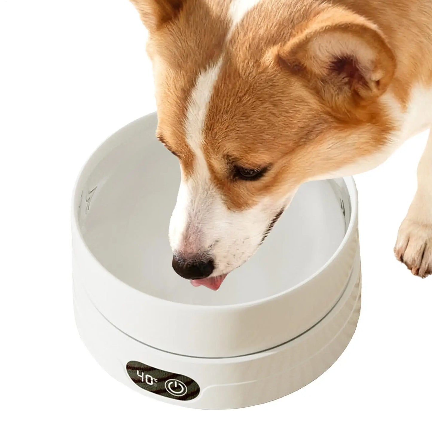 Heated Cat Dish 4 Temperature Settings Winter Pet Drinking Plate Thermal Heated Water Bowl for Chickens Ducks Birds Animals Dogs