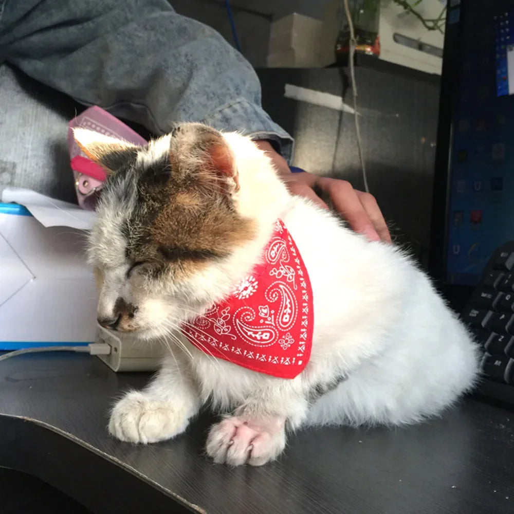 Cute Printed Bandana Cat Collar Puppy Dog Cat Scarf Collar Adjustable Triangular Pet Bandana Collar for Kittens Small Animals