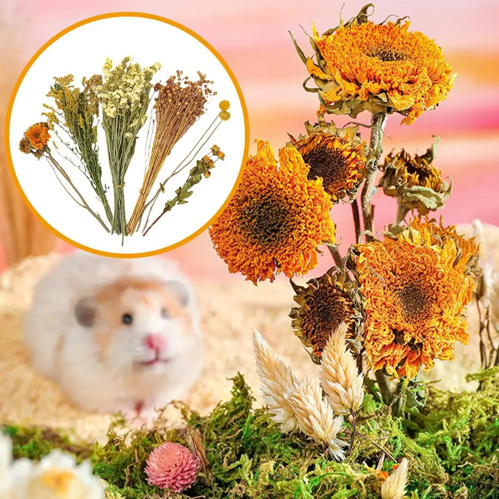 Flower Hamster Bedding Dried Flowers And Grass Hamster Cage Decoration Animal Deodorant Hamster Landscaping Supplies