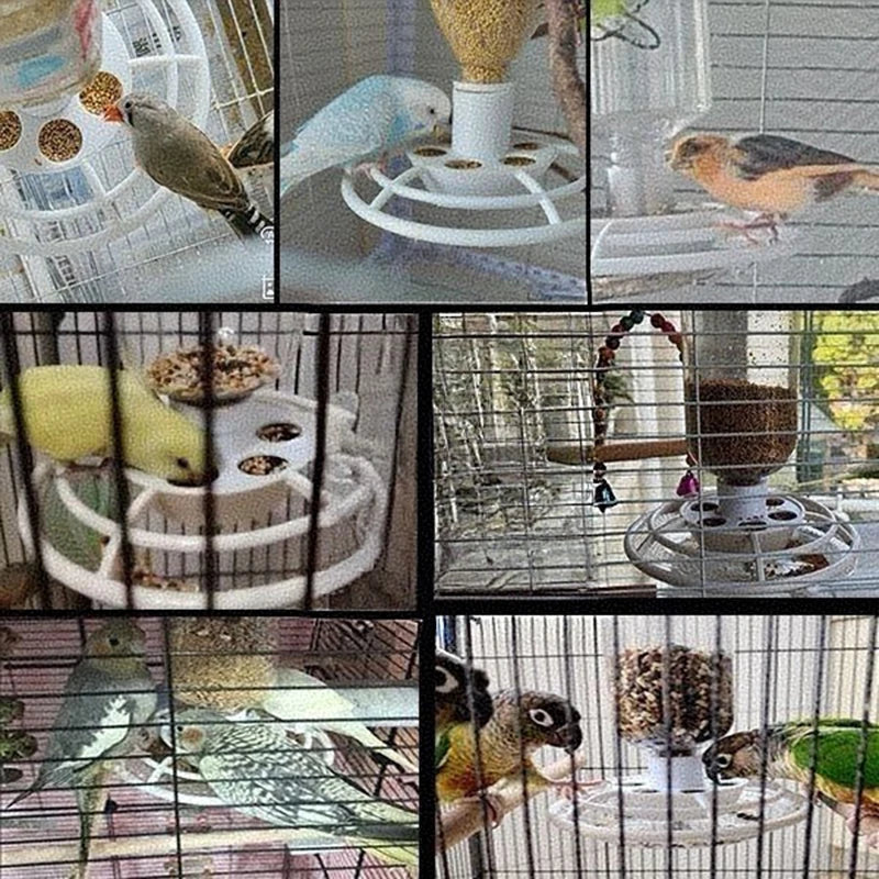 Automatic Bird Feeder with Anti-Scatter Dispenser for Cage with Hanging Hook