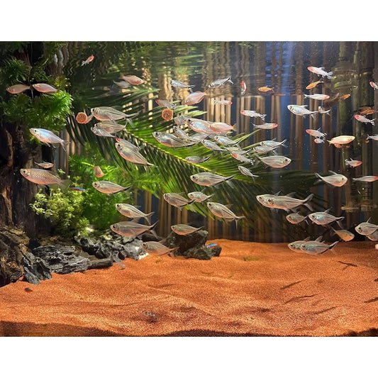 11lb Natural Red Sand Aquarium Substrate Coarse Lava Rock Soil Fish Tank Plant Gravel Landscaping Succulent Additive