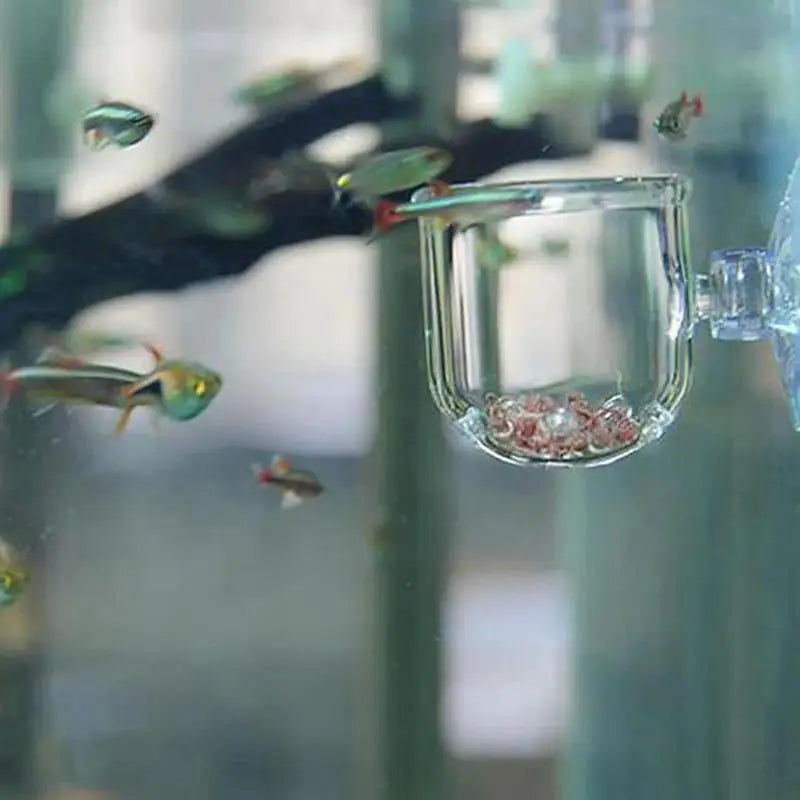 Acrylic Aquatic Plant Cup with Suction Holder Cylinder Aquarium Accessories