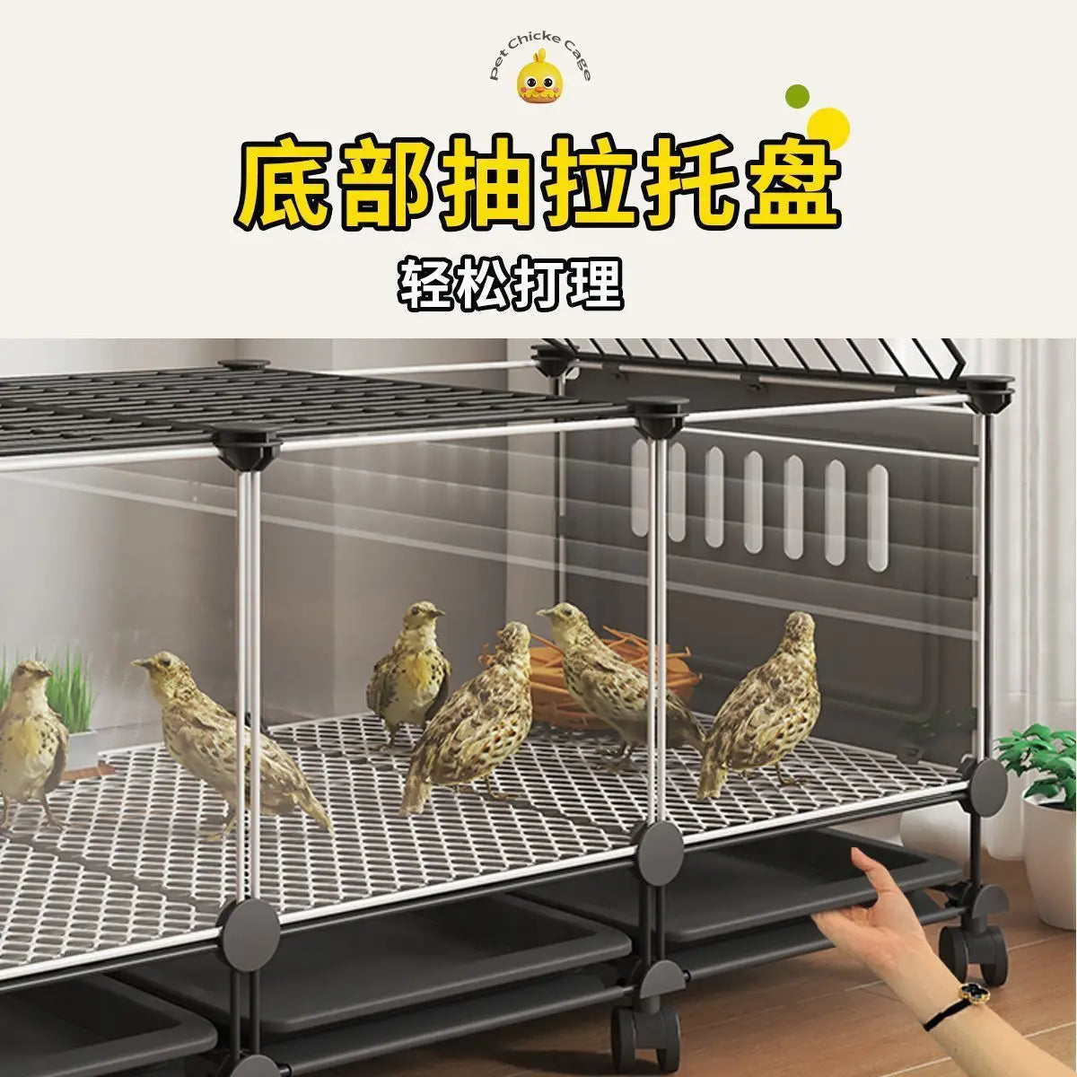 Premium Quail Cage with Pulley Droppings Tray - Indoor Large Chicken Coop Protecting Chicks Feet Mesh Predator Proof Secure Run