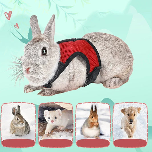 Mesh Breathable Ferret Bunny Harness Leash Set for Small Animals Rabbit Hamsters Summer Walking Pet Lead  Pet Accessories