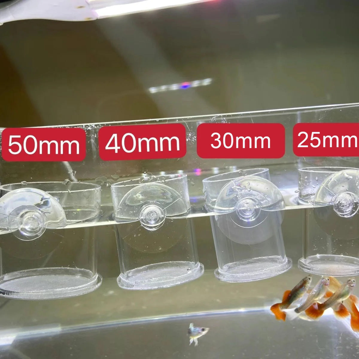 Clear Acrylic Aquarium Fish Feeder Anti-drift Shrimp Egg Fish Food Feeding Ring Betta Fish Tank Feeding Cup Aquarium Accessories