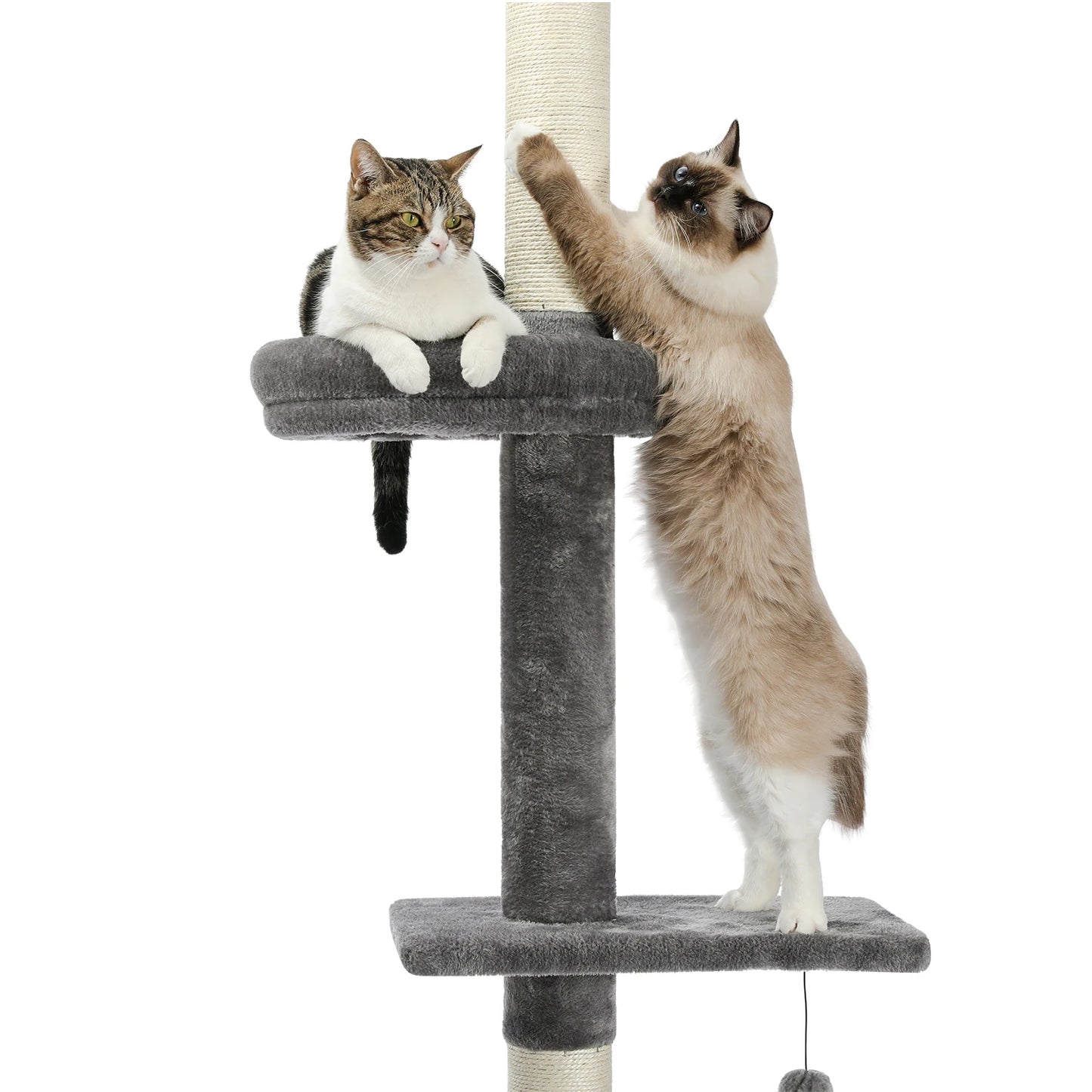 Adjustable Floor-to-Ceiling Vertical Cat Tree Tower Stable Tall Cat Climbing Tree Cat Kittens Cat Toy Suitable for Indoor Cats