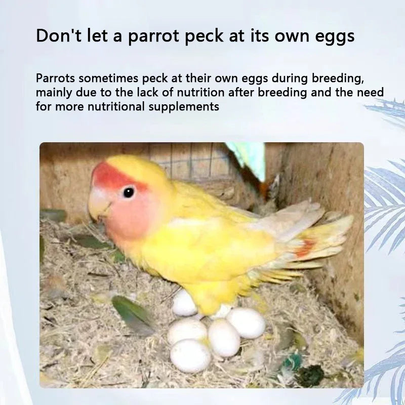 Pigeon bird nutrition Supplement 200g Xuanfeng Parrot vitamin feed companion reward snack egg yolk nutrition granules