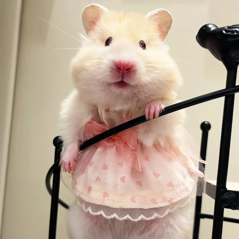 Lovely Handmade Mini Dress Princess Skirt Bow Coat for Small Pets Soft Coat for Ferrets Hamsters Guinea Pigs