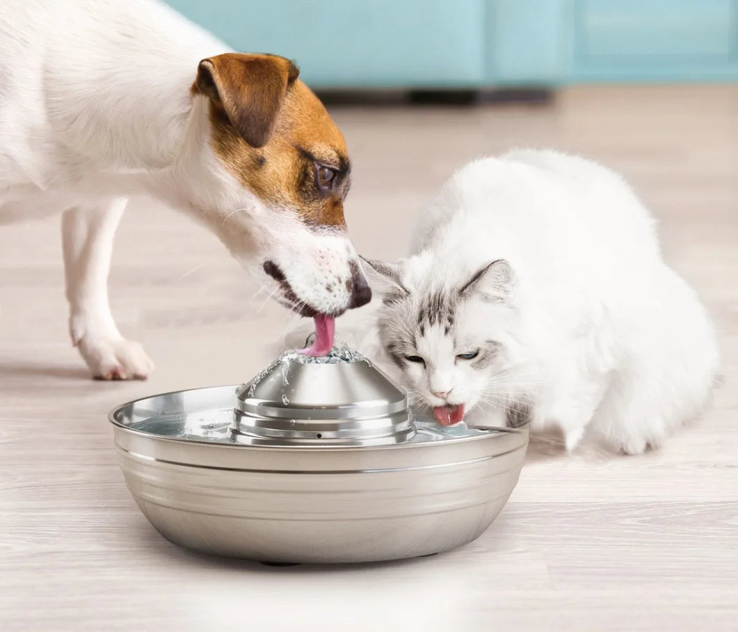 2L Ultra-Quiet Automatic Fountains Dog Stainless Steel Pet Fountains Water Dispenser Quiet Pump Water Fountain for Cat Dog