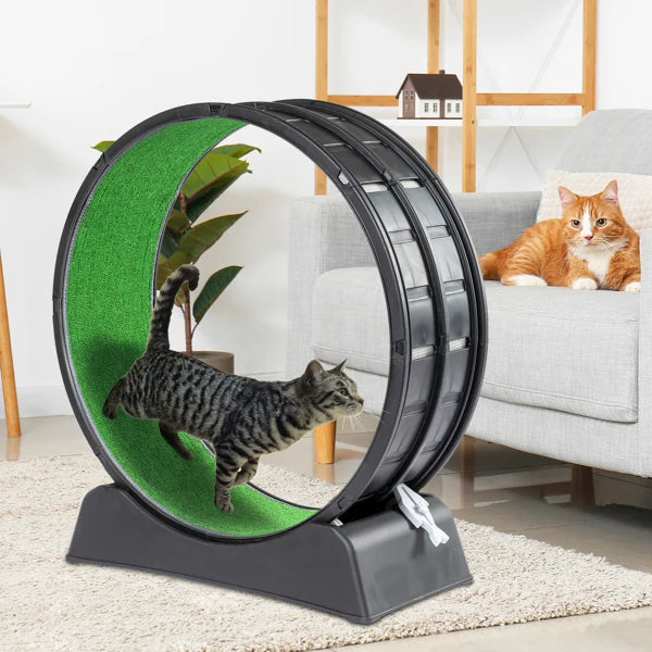 Cat Treadmill Wheel Exerciser with Carpeted Runway, Plastic Cat Running Wheel for Cats Daily Exercise and Weight Loss, Black
