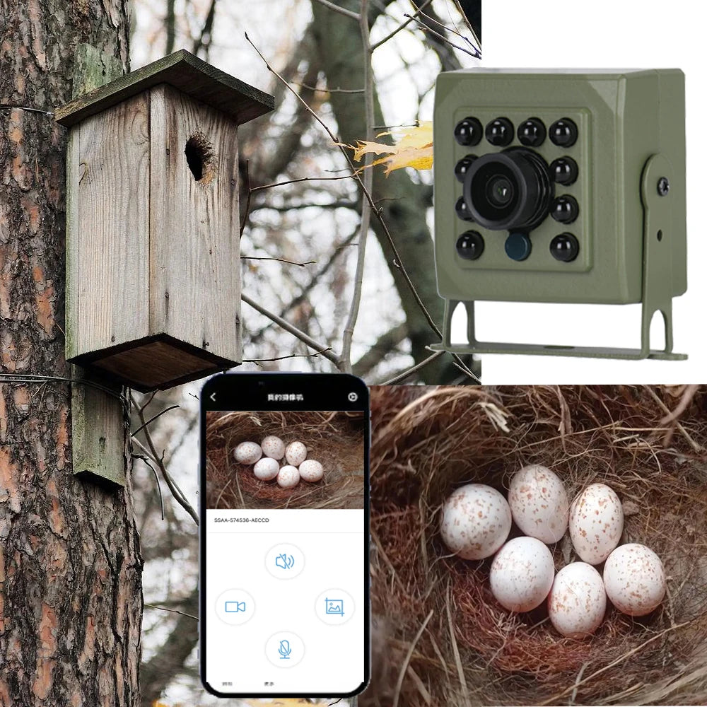 6MP 4MP POE 2K Tuya Mini Wireless WiFi IP Camera Bird Cage CIRCUT Night Vision Small Size Bird Nest Home Security CCTV Smart Life