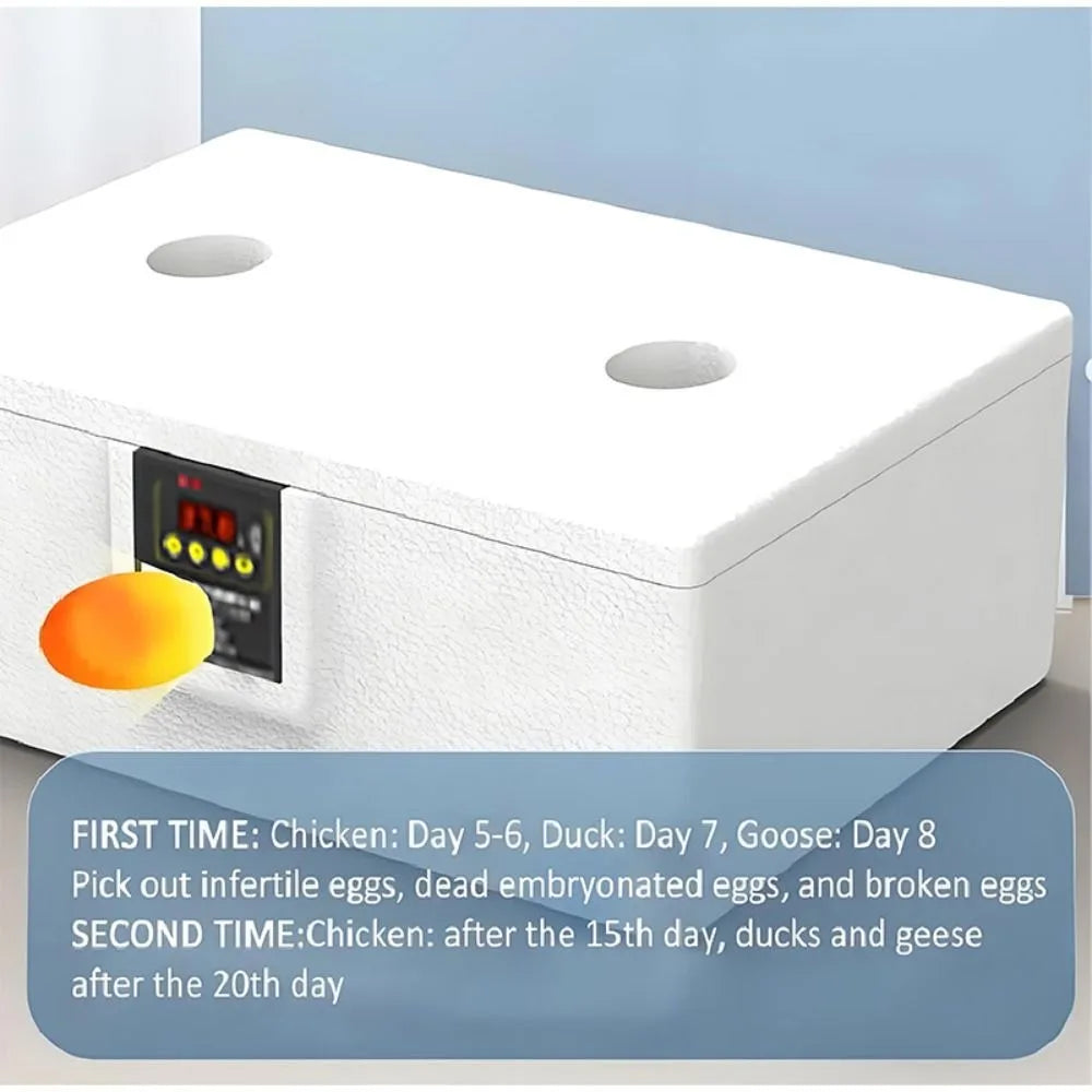 24-hour Thermostatic Small Poultry Egg Incubator Temperature Control Intelligent Biomimetic Waterbed Full Automatic Quiet