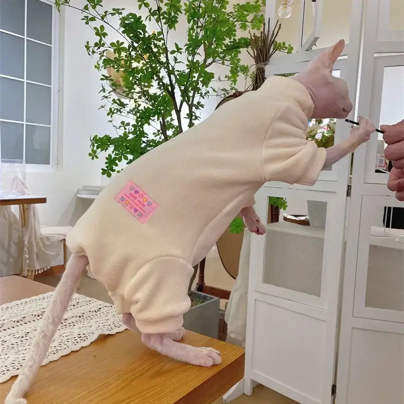 Sphynx cat wearing a soft beige fleece jumpsuit, interactive scene at home.