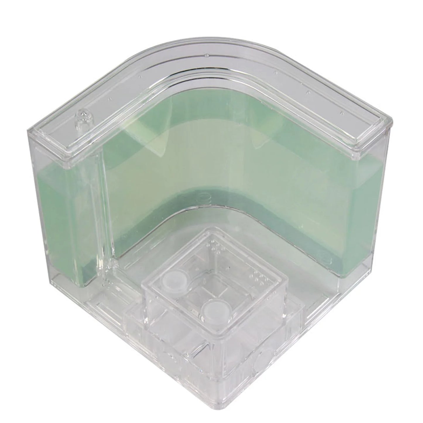 1PCS 3D Insect Acrylic For Ant Farm Observed Expansion Maze House Educational Decor Accessories Look into World Bug Box
