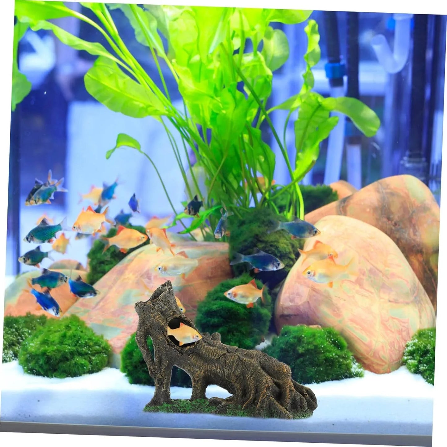 Resin Reptile Hide Cave Terrarium Decoration Lizards Snake Turtle Shelter Hide Rest Cave Reptiles Box Aquarium Landscape Decor