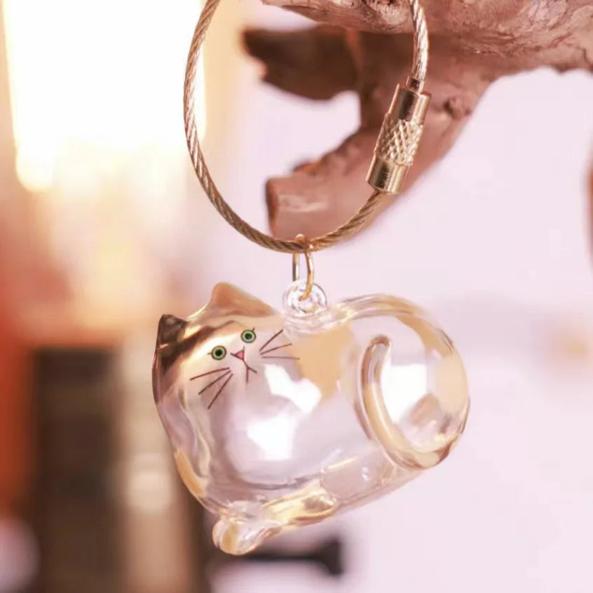 Pet Hair Storage Box Transparent Keepsake Container for Cat Fur DIY Decoration Memorial Gift for Pet Lovers Home Display Use