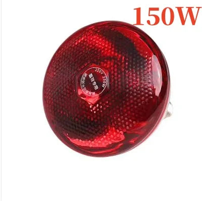 Durable Poultry Heating Lamp Breeding Bulb High Quality E27 100/150/250/275W LED Light Pet Brooder Hatch Chick Heater Bulb