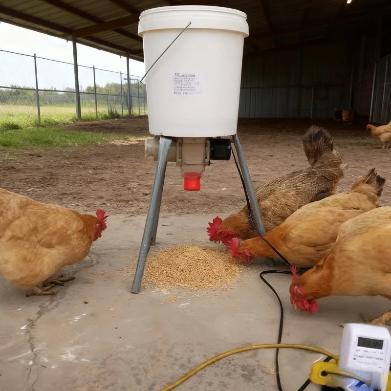 Chicken Feeder Automatic chicken feeder Timing automatic chicken feeder pigeon supplies appliances Feeding Schedule Timer 5 Different models