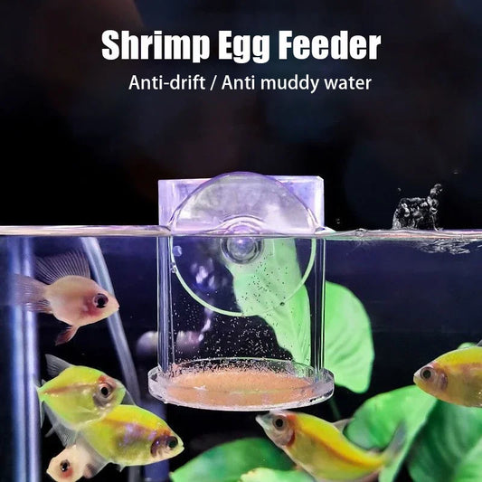 Clear Acrylic Aquarium Fish Feeder Anti-drift Shrimp Egg Fish Food Feeding Ring Betta Fish Tank Feeding Cup Aquarium Accessories