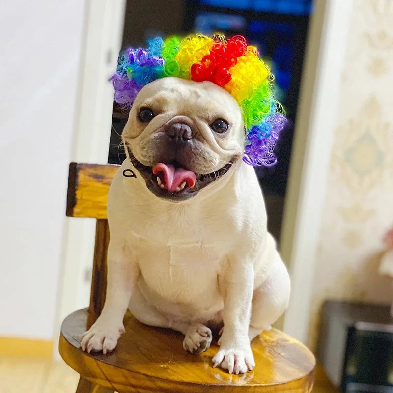NONOR Pet Wigs Cosplay Props Funny Dogs Cats Cross-Dressing Hair Hat Costumes Head Accessories for Halloween Christmas Supplies