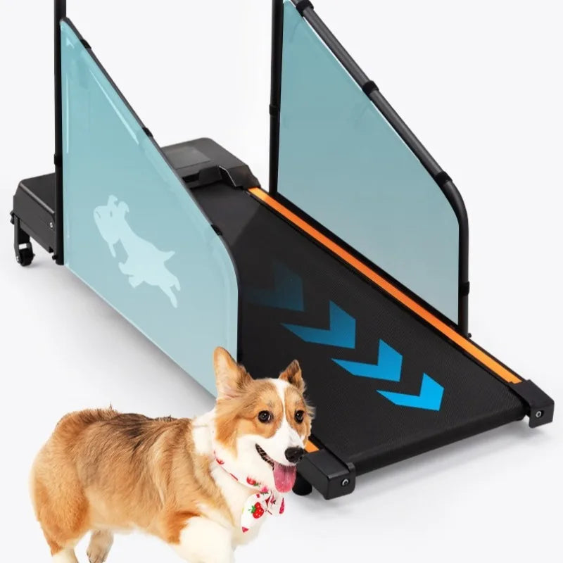 Pet Treadmill Trainer Intelligent Display Dog Running Adjustable Dog Walking Machine Non-slip Pet Trainings Supplies Products