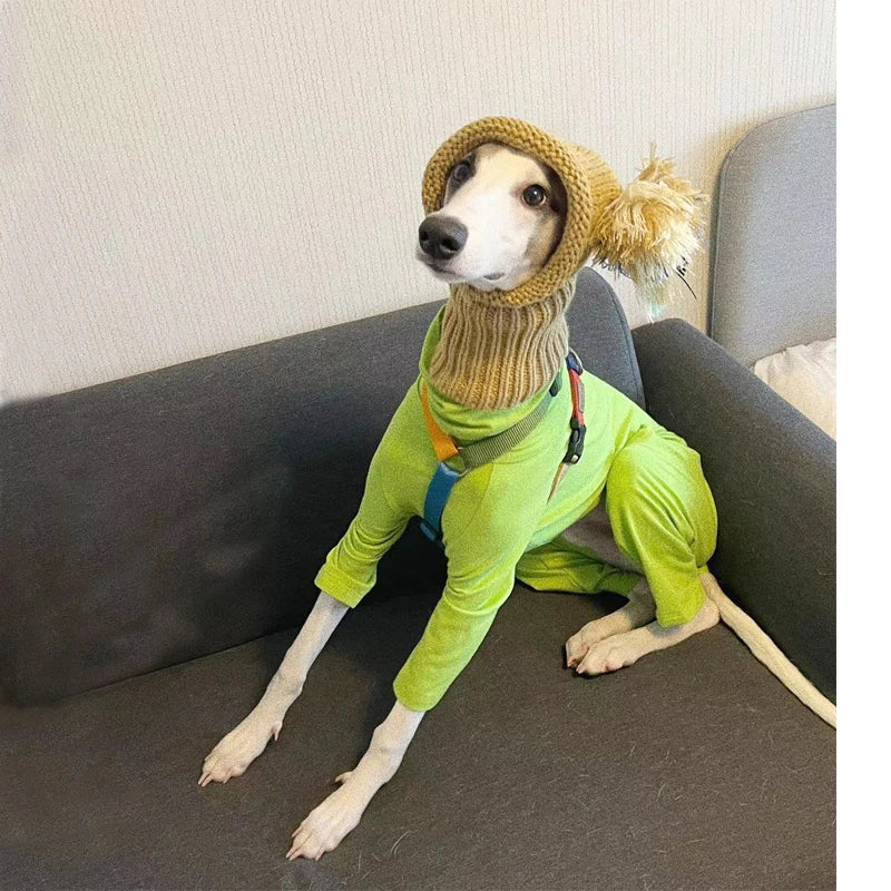 Cute Christmas Pet Hat with Ball, Warm Winter Hat, Puppy, Whippet, Greyhound, Bichon Frize, Schnauzer, Cute hat