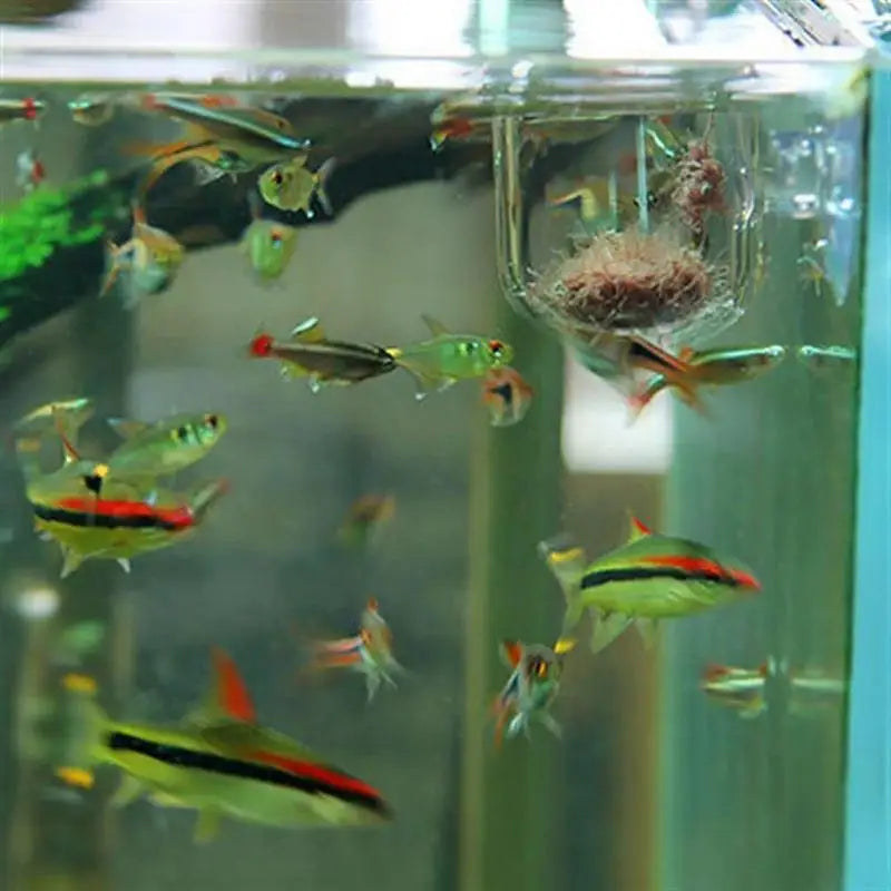 Acrylic Aquatic Plant Cup with Suction Holder Cylinder Aquarium Accessories